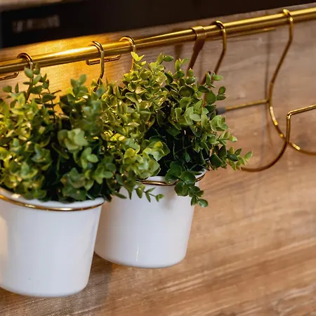 Exclusive In With Balcony, Parking, Gym And Sauna By Renters *