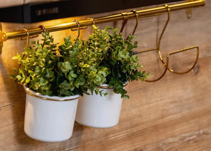 Exclusive In With Balcony, Parking, Gym And Sauna By Renters *